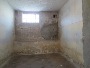 stasi cell (Small)